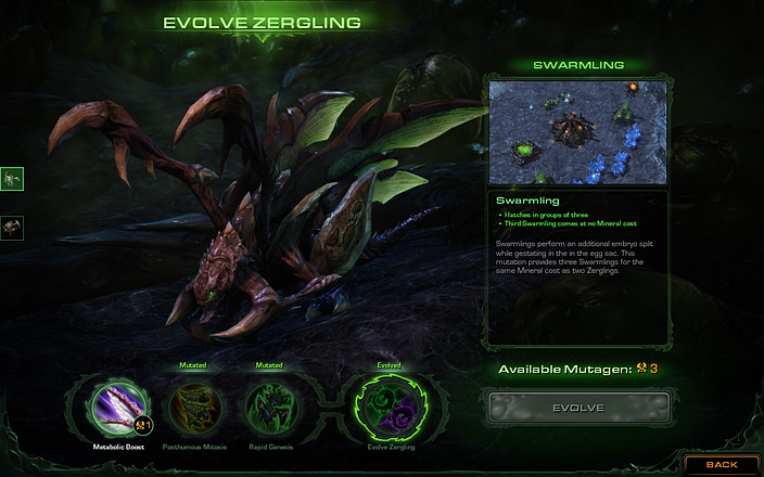 heart of the swarm