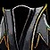 chest